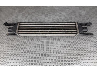 Интеркулер     Fiat Punto Evo 