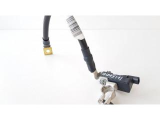 Минусовый провод (аккумулятора)