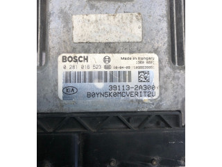 Блок управления двигателя 391132A300, 1039S39851 KIA Venga