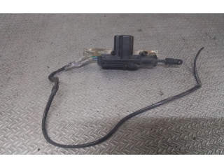 Интеркулер     Renault Thalia II 