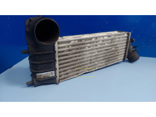 Интеркулер 1489396080, 870229H Citroen C8 0.0
