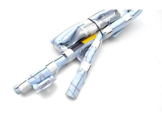 Боковая подушка безопасности CN15-A042D94-AC, 34118151C Ford Ecosport