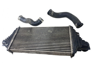 Интеркулер A1645001700, A1645001700 Mercedes-Benz R W251