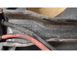 Вентилятор радиатора 300000801 Citroen C4 I 1.6