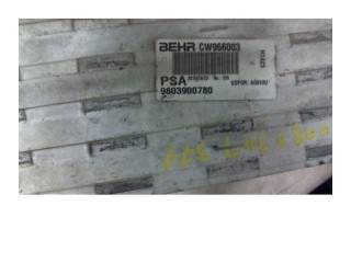 Интеркулер     Peugeot 2008 I 