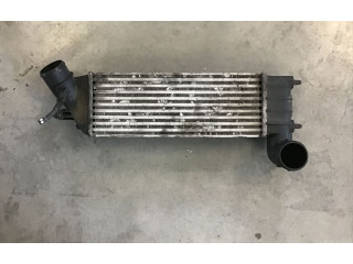 Интеркулер 1489396080, 870229H Citroen C8