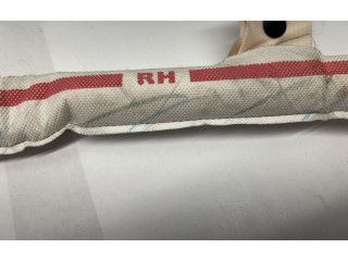 Боковая подушка безопасности 68172524AE, P68172524AE Dodge Challenger