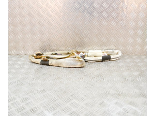 Надувная подушка для крыши