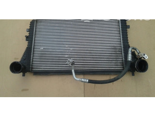 Интеркулер 1K0145803E Skoda Octavia Mk2 (1Z)