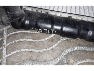 Подрулевой шлейф SRS 253103A100   Hyundai Trajet