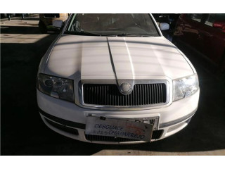 Блок управления впрыском Skoda Superb B5 (3U)