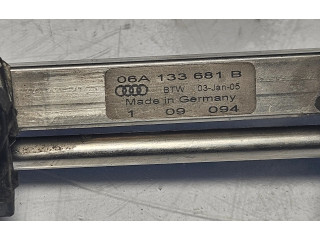 Комплект форсунок 06A133681B Skoda Octavia Mk2 (1Z)