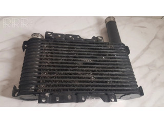 Интеркулер 1271001510 Mitsubishi Pajero Sport I 2.5