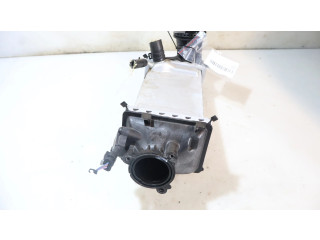 Интеркулер Skoda Scala