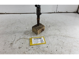 Форсунка 0445110489, 0445110489 Ford Ecosport XVJD