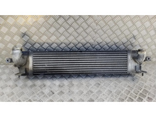 Трубка (трубки)/ шланг (шланги) интеркулера