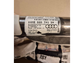 Боковая подушка безопасности 4M8880741D, 43124644   Audi Q8