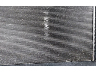 Řídící jednotka 214101448R Renault Scenic III - Grand scenic III 2013