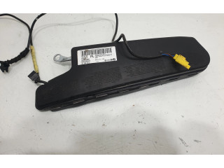 Подушка безопасности в сиденье 1K4880242D Skoda Octavia Mk2 (1Z)