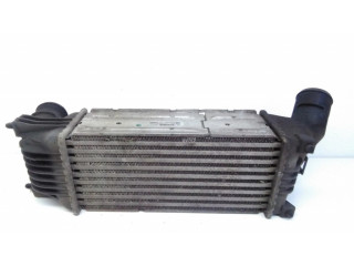 Интеркулер  IA1095, 874823NK   Peugeot 407 2.0