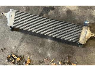 Интеркулер G3062007 Nissan Qashqai+2 2.0