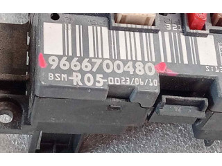 Pojistková skříňka 9666700480 Citroen Berlingo 2008
