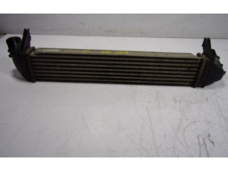 Интеркулер  8200409045, 8200409045A   Dacia Duster 