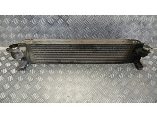 Интеркулер     Nissan X-Trail T31 2.0