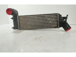 Интеркулер  870229HF   Citroen C8 
