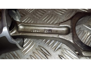 Píst C20Z20, 5520 Chevrolet Captiva pro naftový motor 2.0