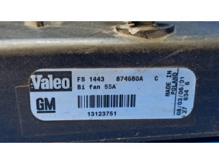 Вентилятор радиатора 874680A, 13123751 Cadillac BLS 1.9