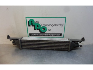 Интеркулер 8A0050000, 8A0050000 Alfa Romeo Mito