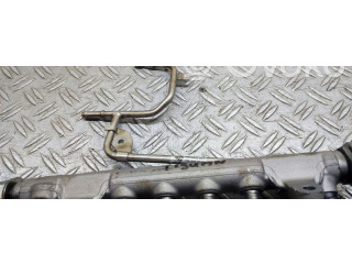 Vstřikovací lišta    Volkswagen Tiguan     