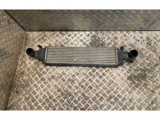 Интеркулер  2045000200, A2045000200   Mercedes-Benz E W212 