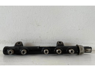 Топливная рампа 968529758002, 8H01   Citroen C3  