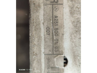 Электрический вентилятор радиаторов A2515000103 Mercedes-Benz R W251