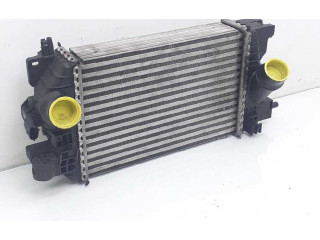 Интеркулер 13283251, R3445005 Opel Meriva A