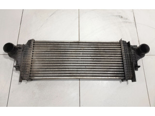 Интеркулер A2515000000 Mercedes-Benz R W251