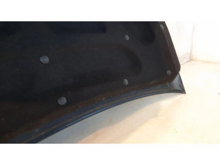 Задняя крышка (багажника)