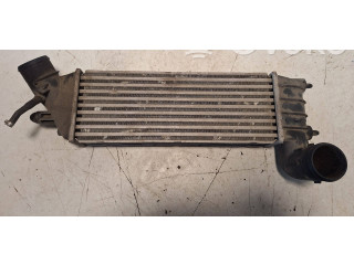 Интеркулер  IA1076, 870229HF   Citroen C8 