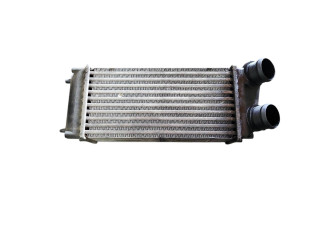 Интеркулер 9648551880, 876923JF Citroen C4 I