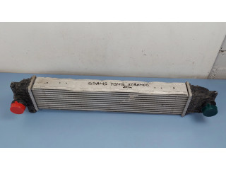 Интеркулер 2371037100 SsangYong Korando 0.0