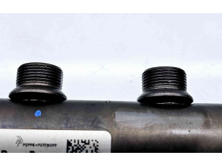 Топливная рампа 175216420R   Renault Megane III  