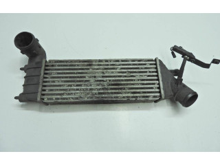 Интеркулер  1489396080, IA1076   Citroen C8 