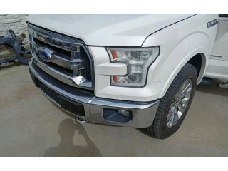 Zpětné zrcátko Ford F150 2014 fl-34-17683