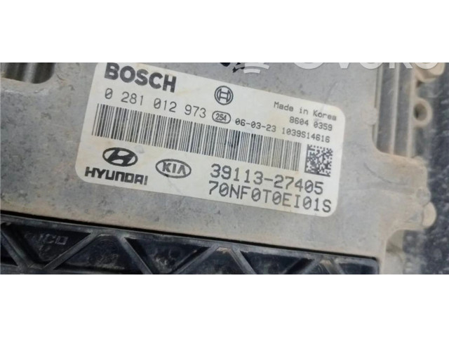 Блок управления 0281012973, 0090047   Hyundai Sonata