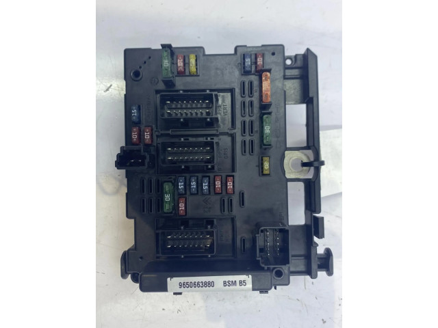 Pojistková skříňka Řídící jednotka BSM 1650882680 Peugeot 206 2004