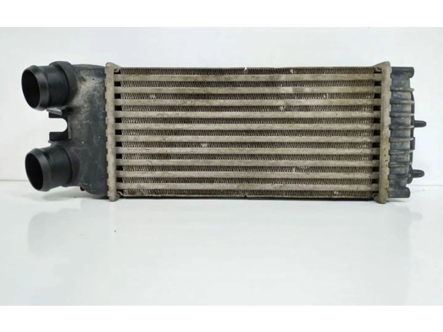 Интеркулер 874964GJ Citroen Berlingo