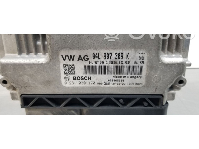 Řídící jednotka 04L907309K, 0281030170 Volkswagen Caddy 2018