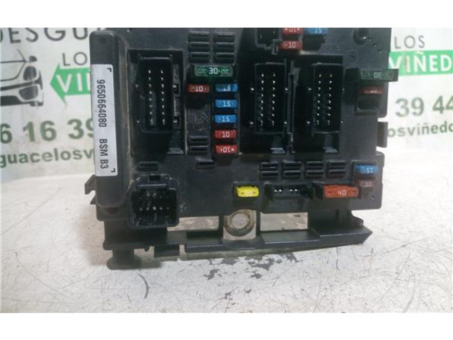 Pojistková skříňka RHM, 9650664080 Peugeot 807 2005